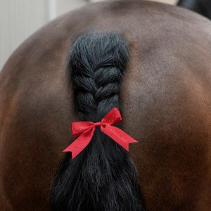 Accessories - heste