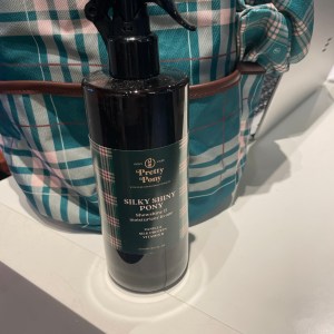 Pretty Pony silky shiny pony