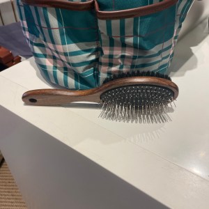 Pretty Pony man og mule børste